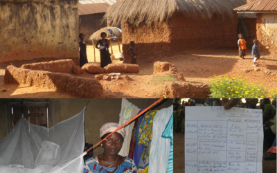 Self Assessment in the struggle against malaria in Togo and The Gambia