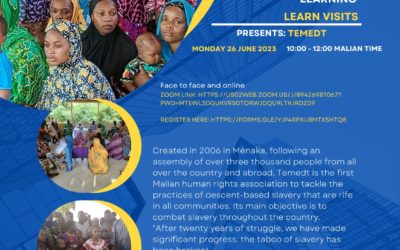Online learning visit of a Malian organisation: Temedt, fraternity in the fight against slavery