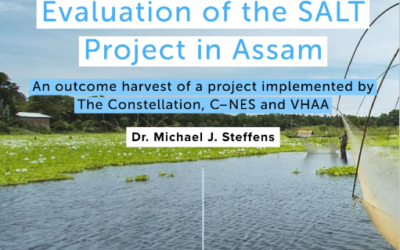 Evaluation of a project implemented by The Constellation in Assam, India