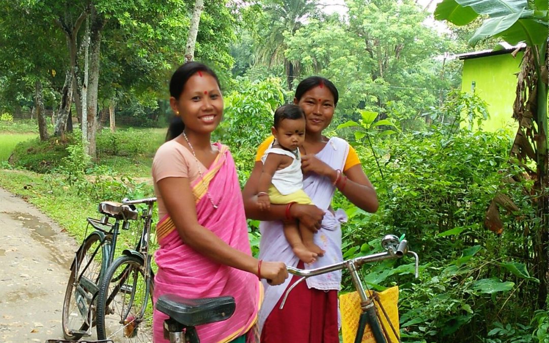 The Assam Project: a treasure trove of learning